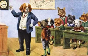 In der Hundeschule
(Postkarte),